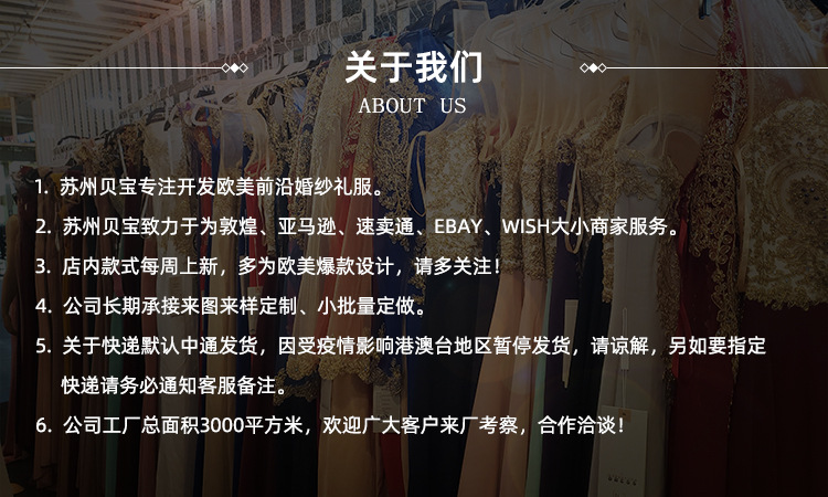 公司介绍