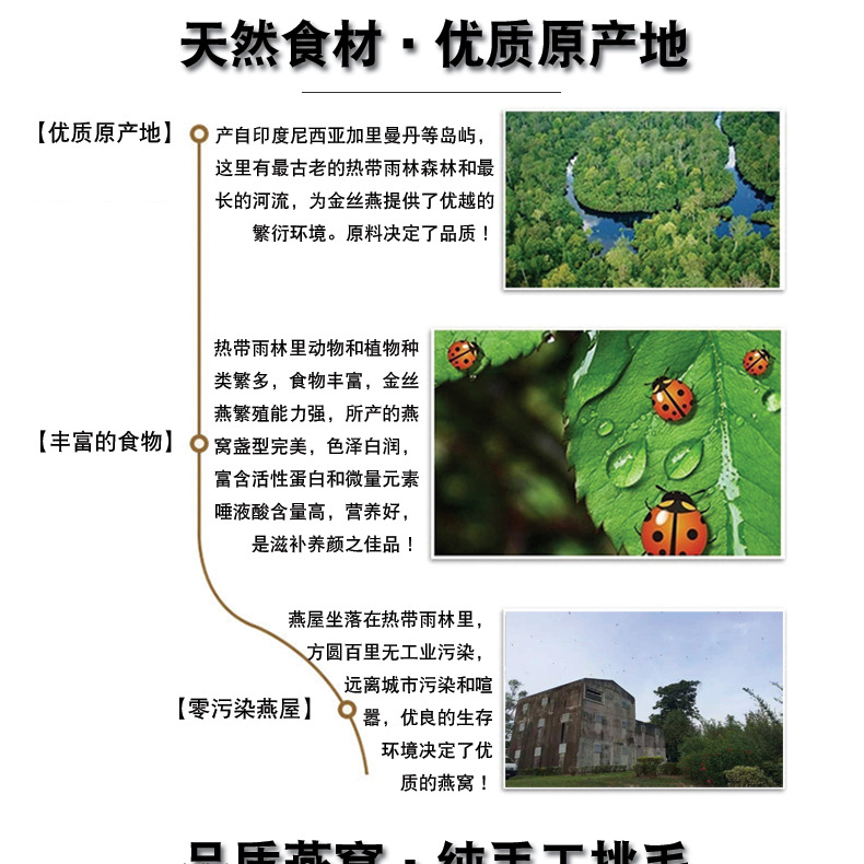 燕窝详情页_01.jpg