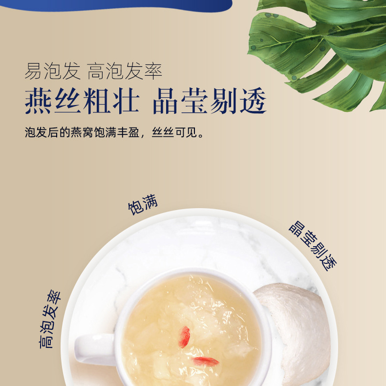 小燕条_11