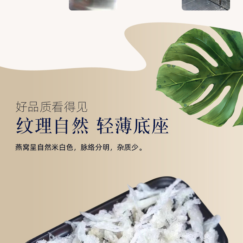 小燕条_08