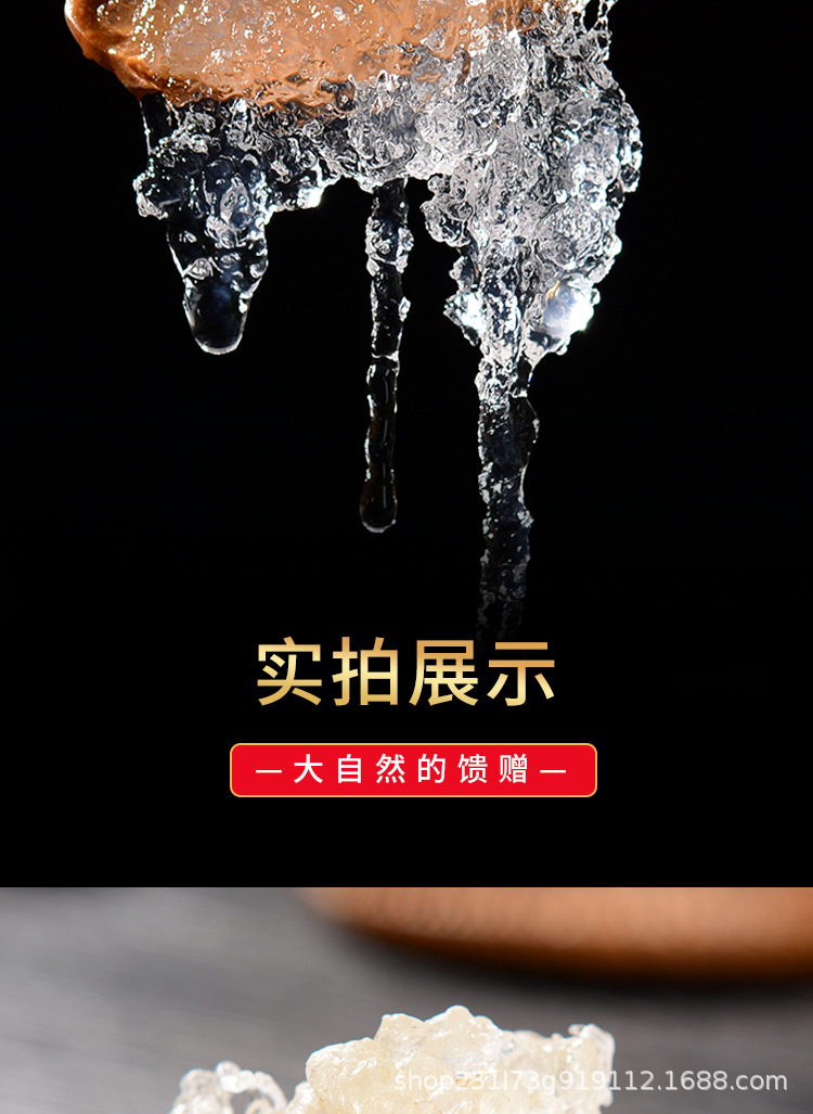 雪燕-拷贝_09.jpg