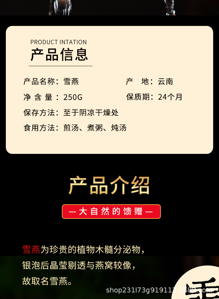 雪燕-拷贝_02.jpg