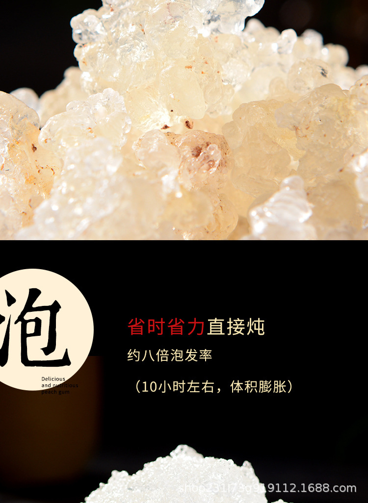 雪燕-拷贝_07.jpg