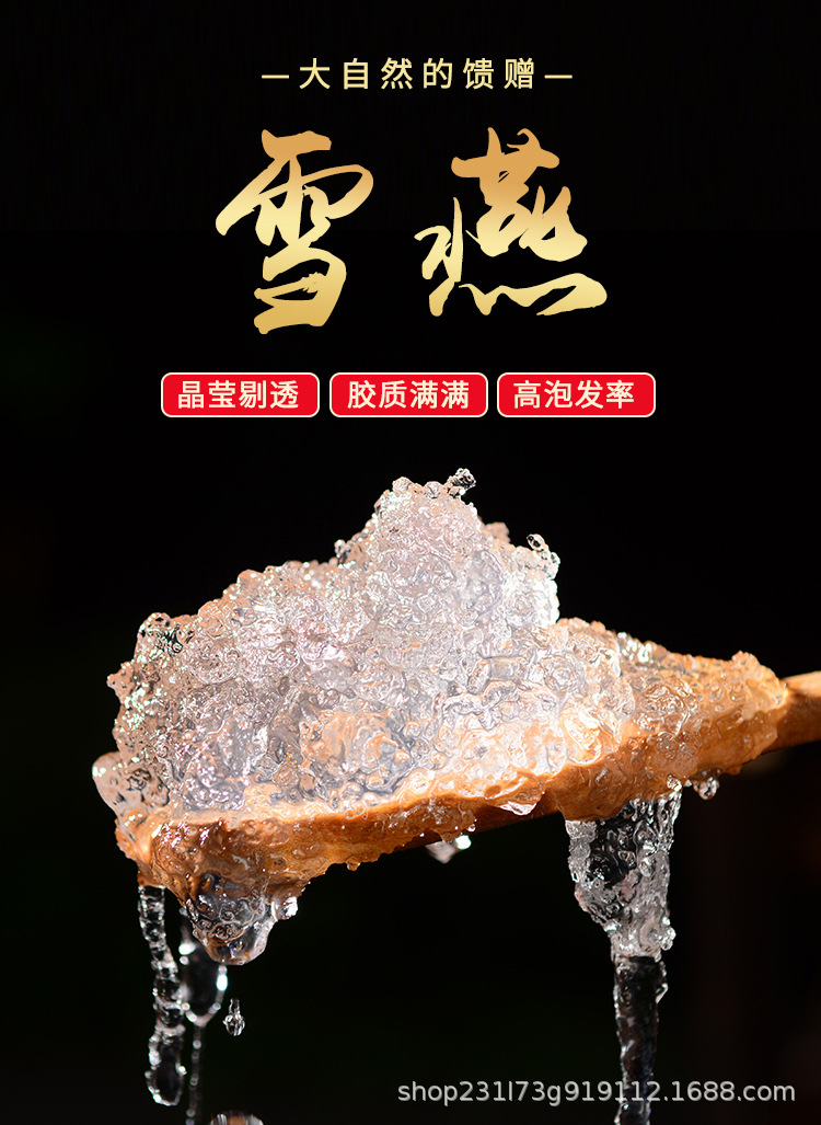 雪燕-拷贝_01.jpg