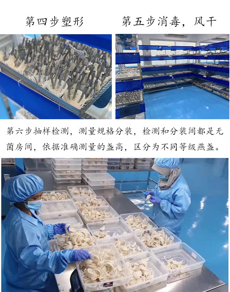 12工厂图