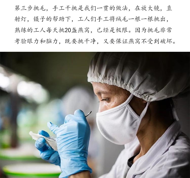 11工厂图