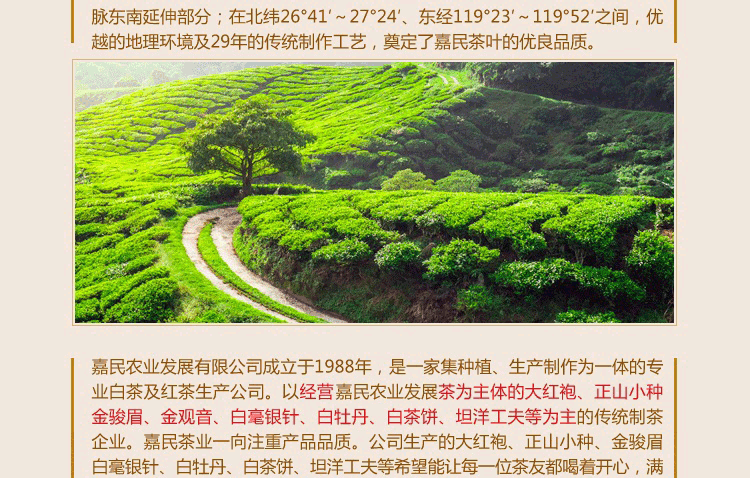 鍏徃浠嬬粛