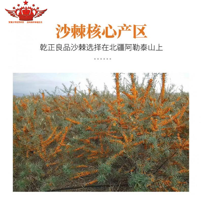 乾正良品冻干▪沙棘粉厂家会员康养休养卡 30包 每包300克