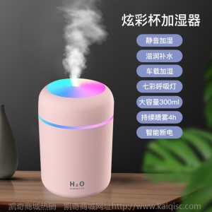 凯奇新款萌宠加湿器usb喷雾夜灯静音卧室家用迷你香薰空气净化器