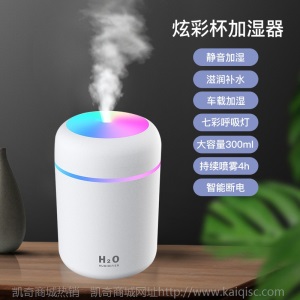 凯奇新款萌宠加湿器usb喷雾夜灯静音卧室家用迷你香薰空气净化器