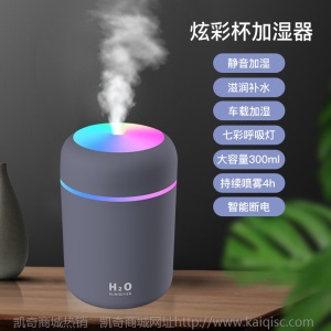 凯奇新款萌宠加湿器usb喷雾夜灯静音卧室家用迷你香薰空气净化器