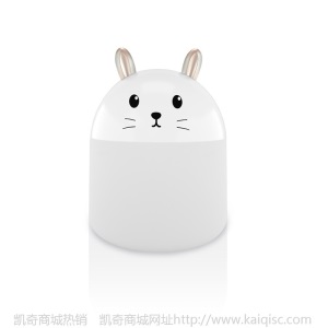凯奇新款萌宠加湿器usb喷雾夜灯静音卧室家用迷你香薰空气净化器