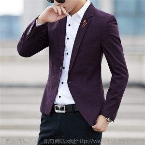 秋季新款男士休闲单件西服外套韩版潮流修身帅气格纹西装上衣