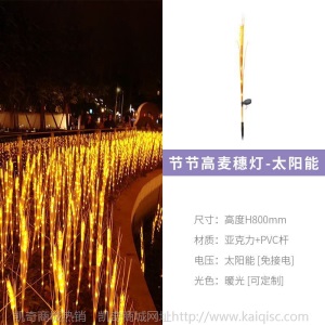 LED太阳能灯麦穗灯芦苇灯户外防雨景观亮化发光水稻插地灯草坪灯