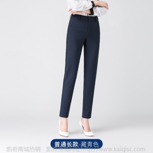 职业正装西装女2020新款韩版九分裤加绒加厚小脚裤子长裤一件代发