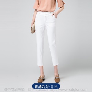 职业正装西装女2020新款韩版九分裤加绒加厚小脚裤子长裤一件代发