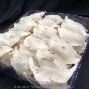 轻毛燕盏 毛燕窝底座轻薄 燕窝滋补 毛燕 诚招代理