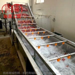 厂家直销超市配送净菜保鲜菜洗菜机 蔬菜清洗机加工生产线