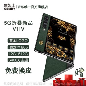 詹姆士（GEMRY）V11V 5G折叠屏手机轻奢商务 高通骁龙865 主摄6400万12+512GB