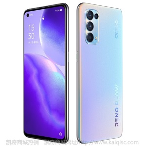 OPPO Reno5 新品5G手机 【分期免息】 6400万四摄拍照 65W超级闪充 reno5 Reno5 星河入梦