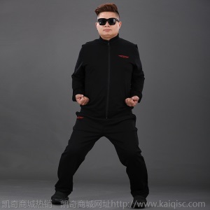 秋季大码男套装立领加肥加大男式休闲套装运动服开衫卫衣厂家直销