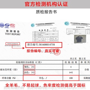 工厂直销秋冬新款100纯羊毛男士羊毛衫半高领针织衫男装毛衣