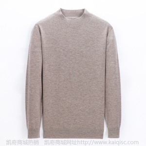 博尔顿秋冬季羊毛衫男圆领中青年100纯羊毛薄款男士针织打底毛衣