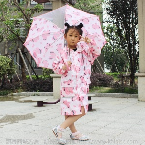 自动雨伞男女宝宝幼儿儿童透明雨伞遮雨直骨卡通长柄伞儿童雨具