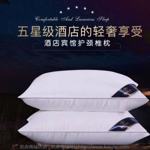 枕芯枕头Bed Pillow 酒店宾馆护颈椎枕单人礼品批发