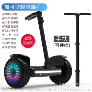厂家直销一体平衡车电动10寸发光轮成人两轮体感车儿童代步平衡车