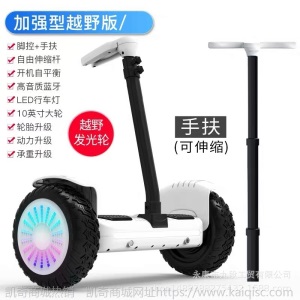厂家直销一体平衡车电动10寸发光轮成人两轮体感车儿童代步平衡车