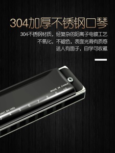 嘉德瑞10孔C调蓝调布鲁斯口琴进口簧片乐器十孔成人儿童初学口琴