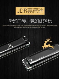 嘉德瑞10孔C调蓝调布鲁斯口琴进口簧片乐器十孔成人儿童初学口琴