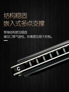 嘉德瑞10孔C调蓝调布鲁斯口琴进口簧片乐器十孔成人儿童初学口琴