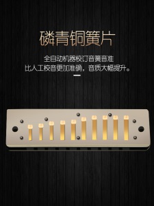 嘉德瑞10孔C调蓝调布鲁斯口琴进口簧片乐器十孔成人儿童初学口琴