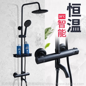 欧式全铜黑色淋浴花洒套装家用浴室挂墙恒温沐浴花洒增压淋浴喷头
