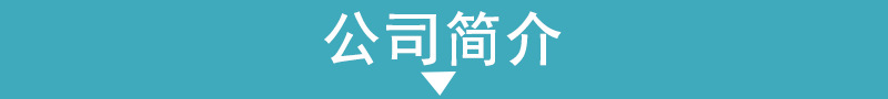 公司简介