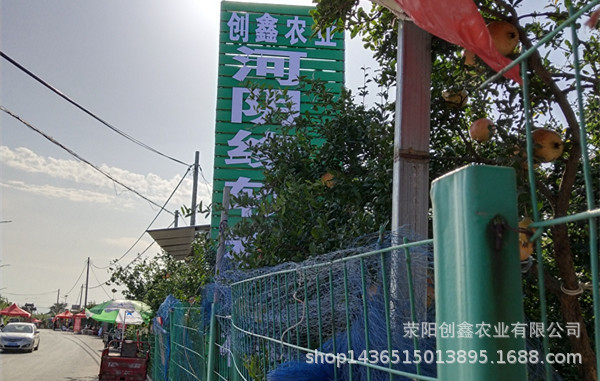 IMG_20180922_154502_鍓湰