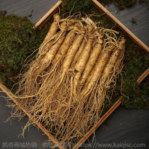 长白山新鲜人参东北特产带土鲜人参山参泡酒人参10-12支/500g