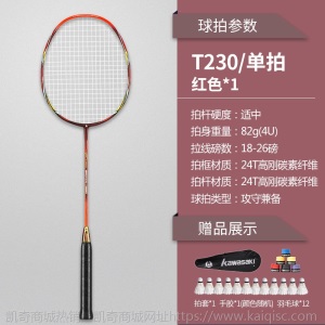 羽毛球拍双拍全碳素耐用型超轻成人单拍羽毛球球拍套装