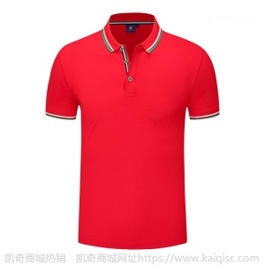 夏季polo衫定制工作服翻领t恤服装广告衫定做文化衫印logo刺绣