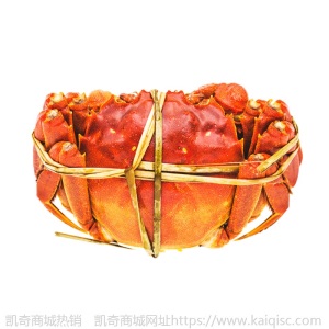 鲜活兴化红膏大闸蟹礼盒礼券六月黄公母清水螃蟹河蟹水产批发