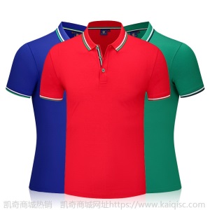 夏季polo衫定制工作服翻领t恤服装广告衫定做文化衫印logo刺绣