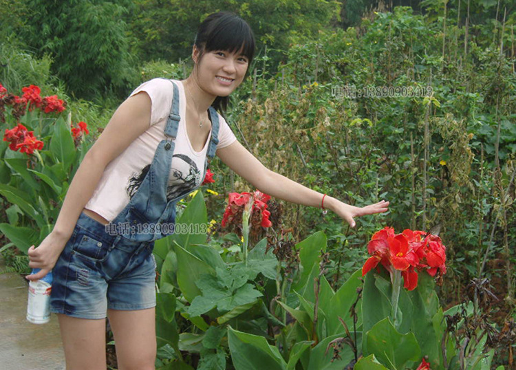 胖3 拷贝.jpg