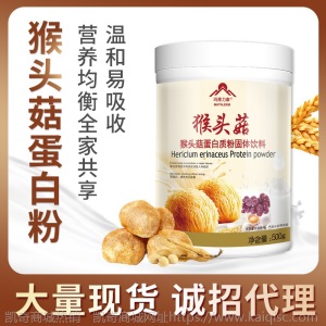 猴头菇蛋白粉 健康吸收大豆代餐粉 营养蛋白质粉 厂家分销 oem