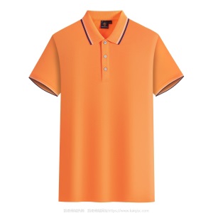【优选】polo衫工作服装定制短袖 翻领t恤logo企业工衣订做文化衫