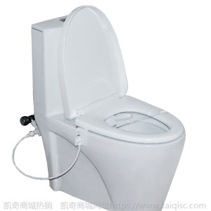 智能马桶盖板洁身器冲洗器坐便器盖家用不用电自动洗屁股通用只能