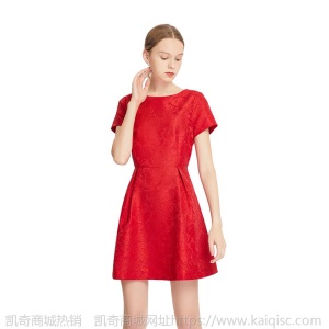 明星同款2019秋季名媛气质女装刺绣短袖圆领A字裙连衣裙一件代发