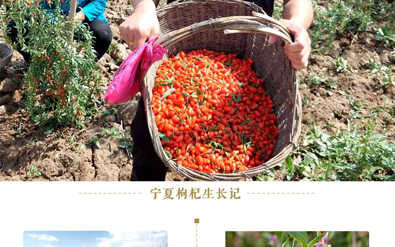 详情_05