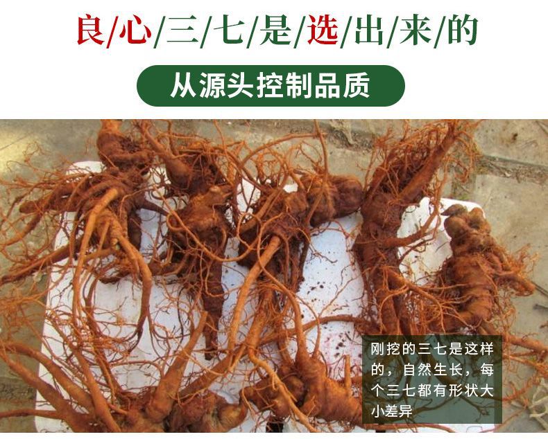 三七详情页14.jpg